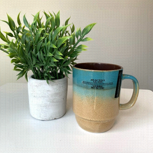 🌸3 for $30🌸 NWT Reactive Glass Ombré Mug